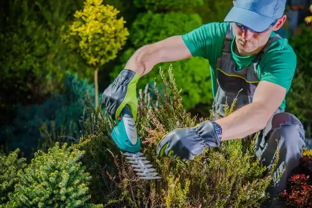 landscaping services Nyack